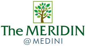 meridin_logo